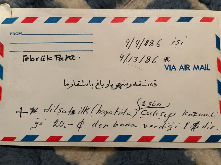 ئابدۇۋەلى ئايۇپ