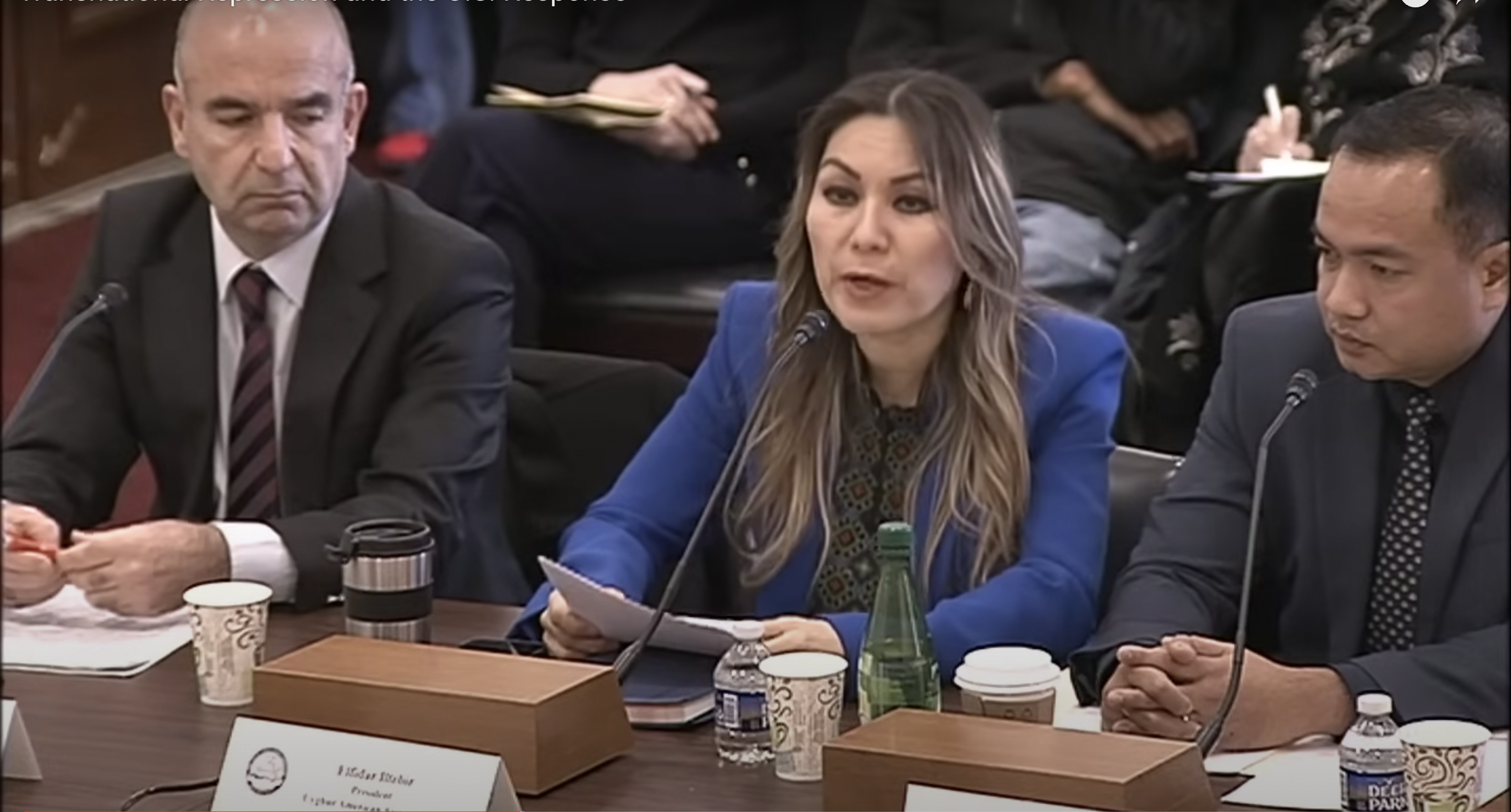 ئەلفىدار گۇۋاھلىق