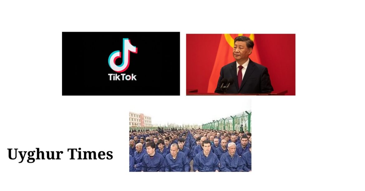tik-tok-uyghur
