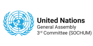 بىرلەشكەن دۆلەتلەر تەشكىلاتى 3-كومېتىتى