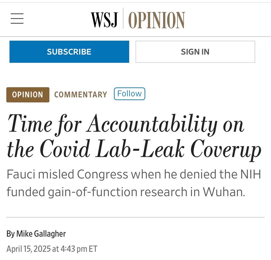 مايك گاللاگىر